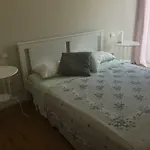 招待所 Via Roma 12 福洛尼卡